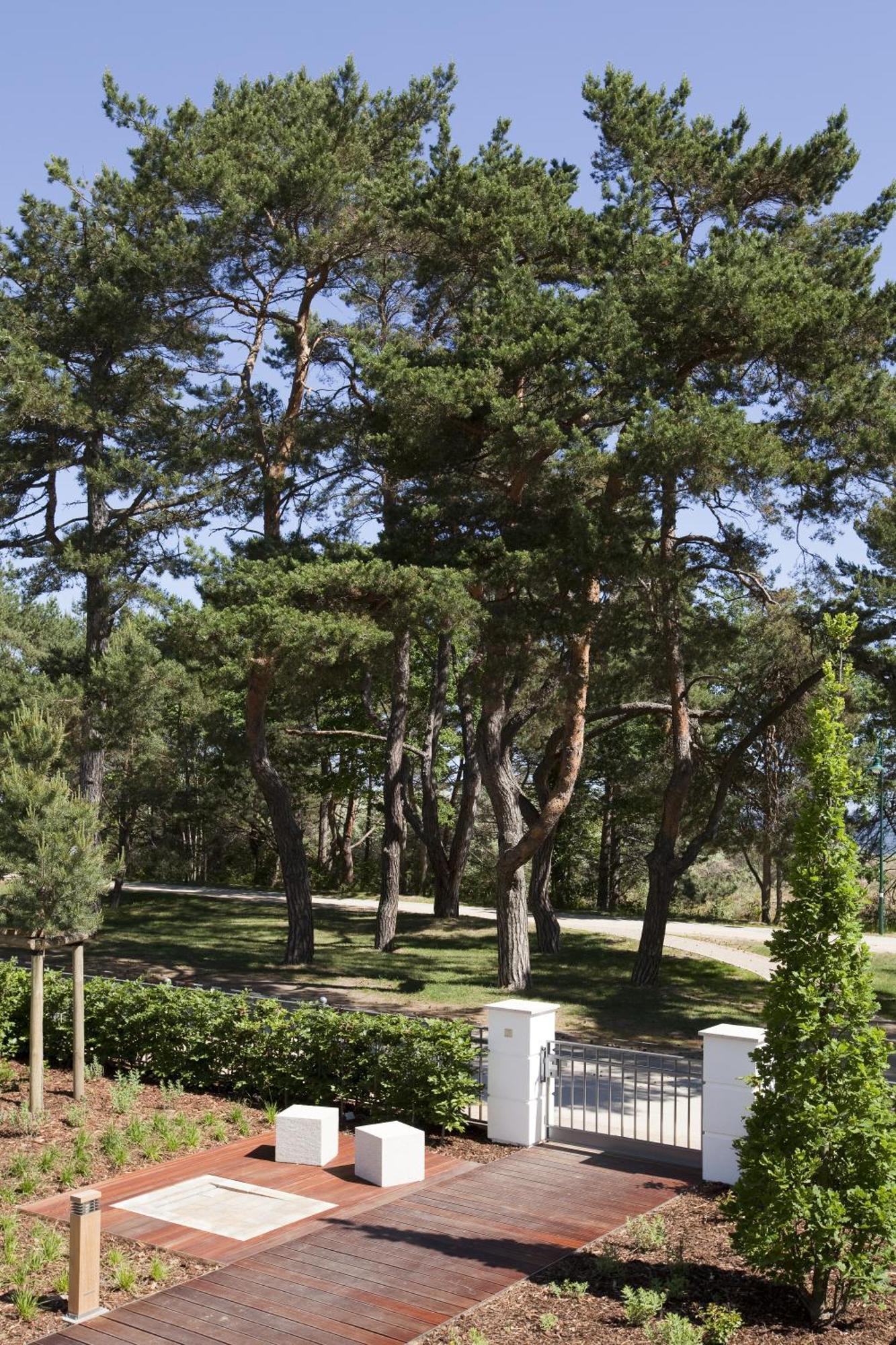 스타이겐베르거 그랜드호텔 앤 스파 헤링스도르프 제바트헤링스도르프 외부 사진 Pines in the park